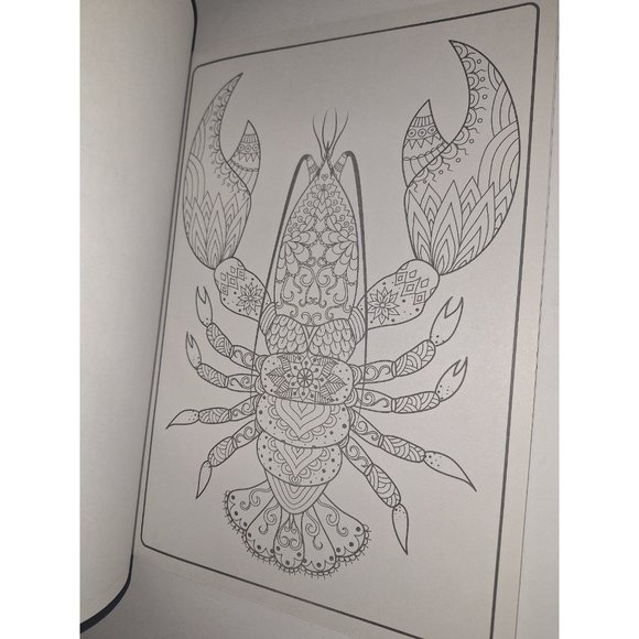 Landoll  Stress Relieving Advanced Adult Coloring Relax to Music Zbook - Picture 8 of 11